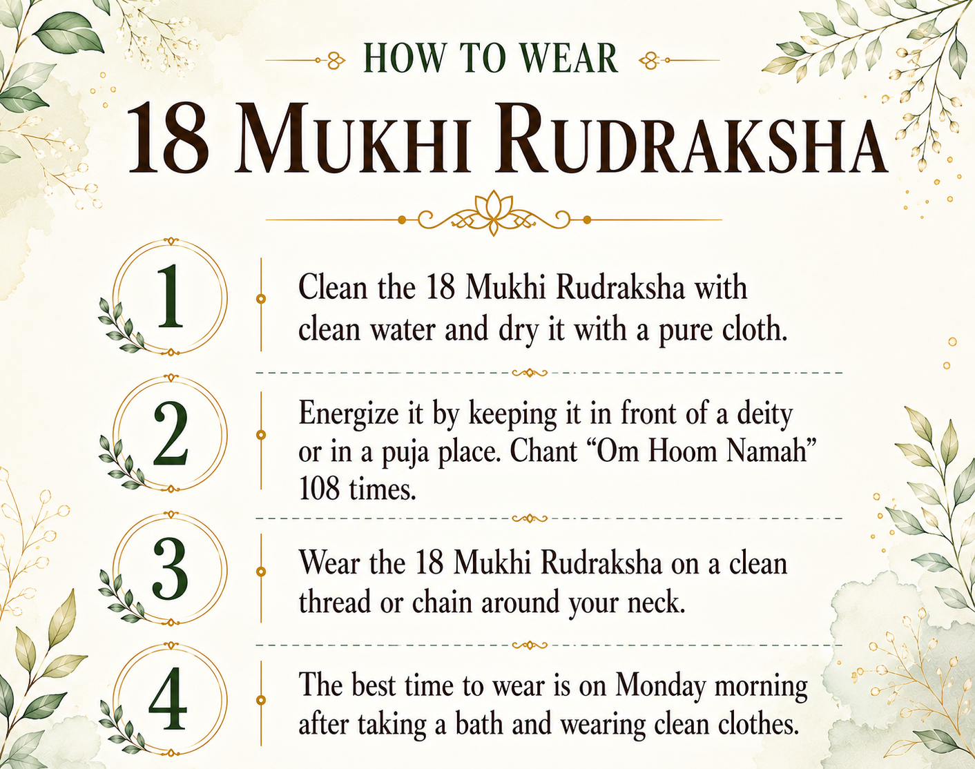 18 Mukhi Rudraksha (Nepal Origin)